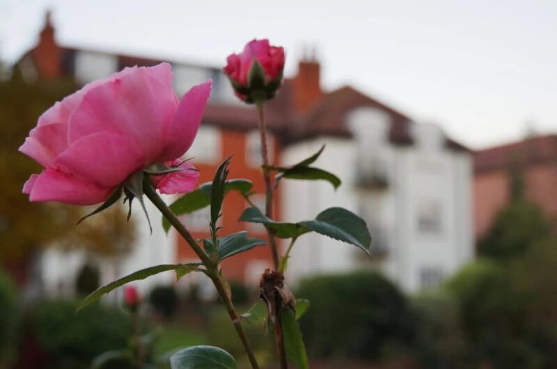 fb-285328895298373_757543317014586