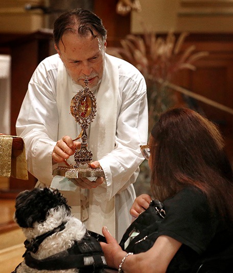 fb-127530903940386_1216568023835147