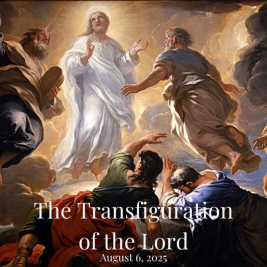 fb-1669188376658004_1378382007621458