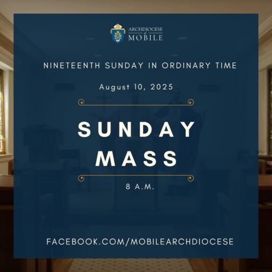 fb-1669188376658004_1381156950677297