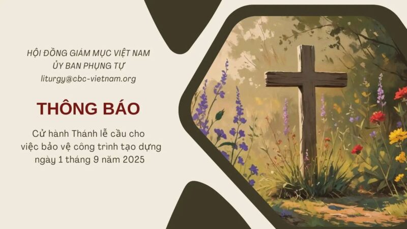 fb-267086443957481_1063409689335070