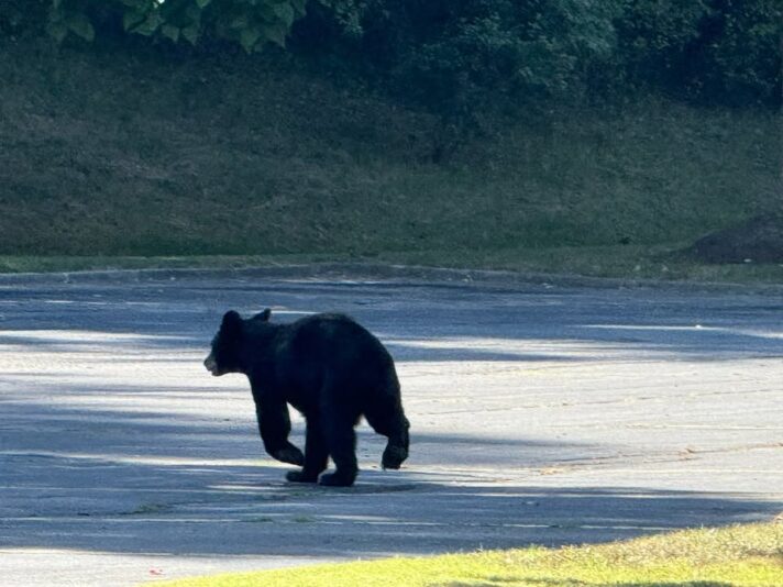 fb-326791086980_1181399934028588