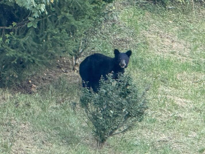 fb-326791086980_1181399934028588