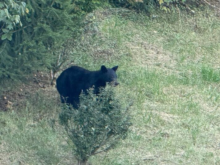 fb-326791086980_1181399934028588