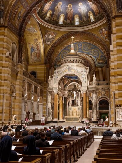 fb-1669188376658004_1385006283625697