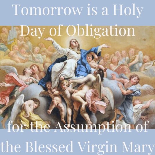 fb-1669188376658004_1385641550228837