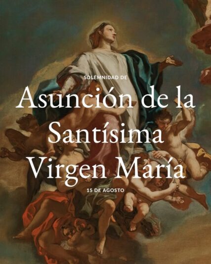 fb-117682098250535_1192989506207016