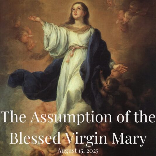 fb-1669188376658004_1386572333469092