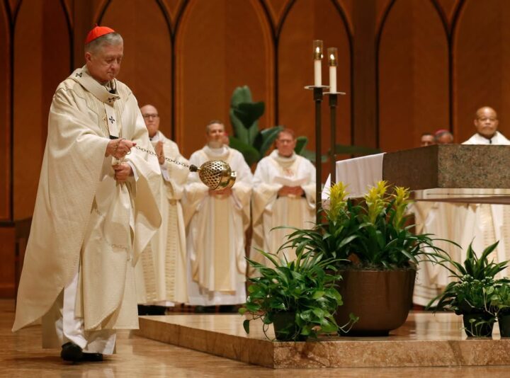 fb-127530903940386_1228124696012813