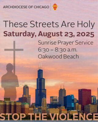 fb-127530903940386_1229733822518567