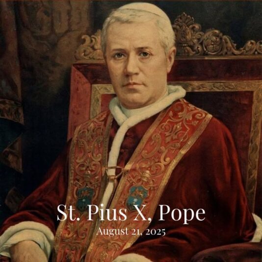 fb-1669188376658004_1392246029568389