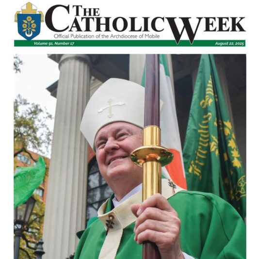 fb-1669188376658004_1393356656123993