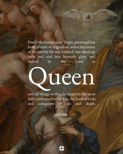 fb-1669188376658004_1393267379466254