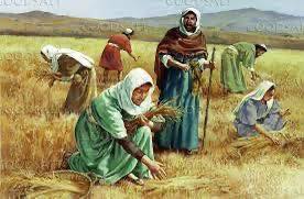 fb-285328895298373_775518185217099