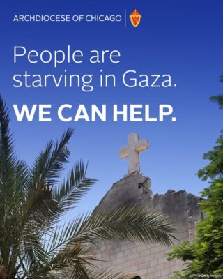 fb-127530903940386_1235701708588445