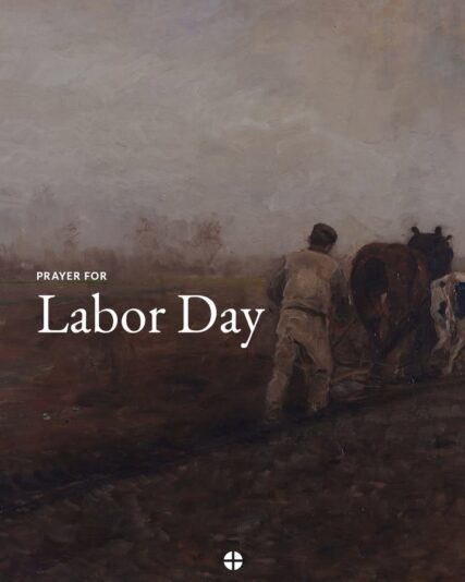 fb-1669188376658004_1402080531918272