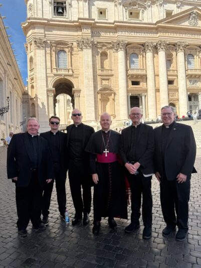 fb-313158165452988_1219080270263923