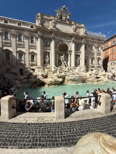 fb-313158165452988_1219533100218640