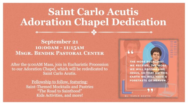 fb-313158165452988_1220391206799496