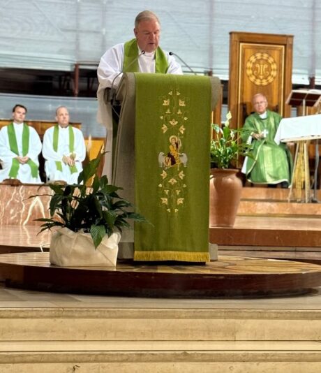 fb-313158165452988_1221874946651122