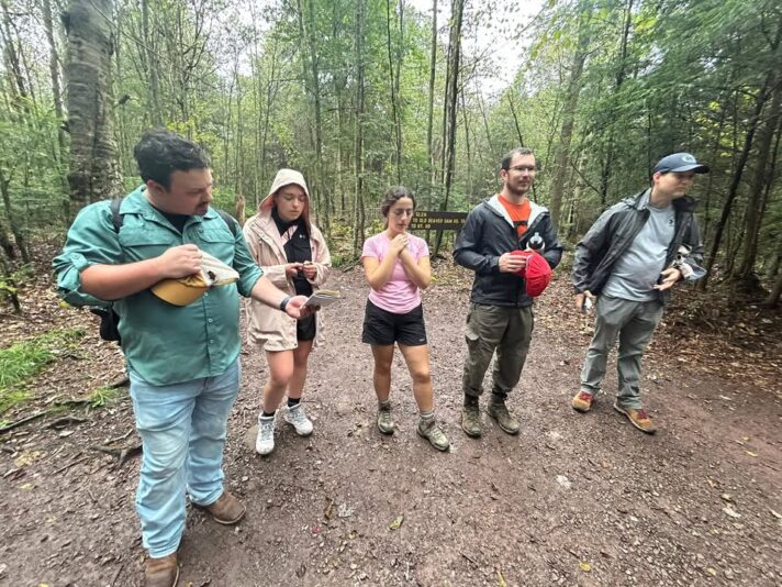 fb-313158165452988_1222064309965519