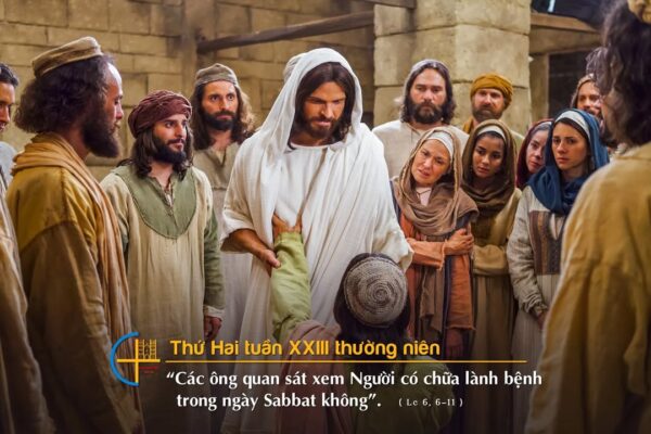 fb-585442494803518_1192789999552214