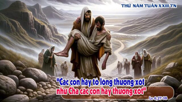 fb-585442494803518_1195155602648987