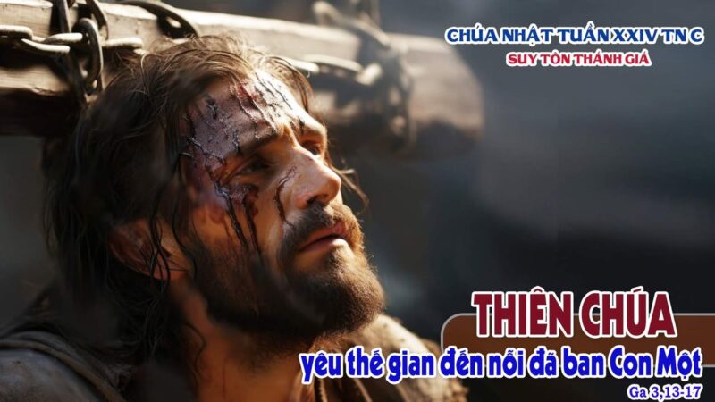 fb-585442494803518_1196619145835966