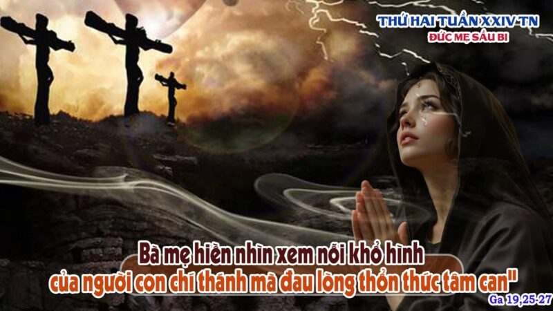 fb-585442494803518_1196619145835966