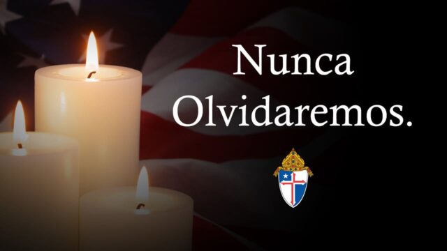 fb-107704176960_1183219727173504