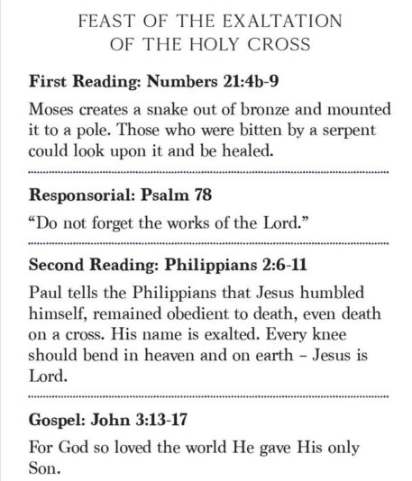 fb-326791086980_1206632858171962