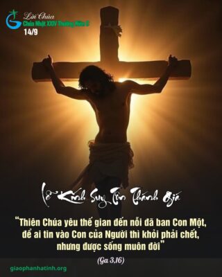 fb-267086443957481_1088557873486918