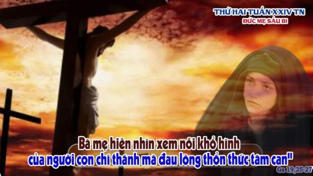 fb-585442494803518_1198557698975444