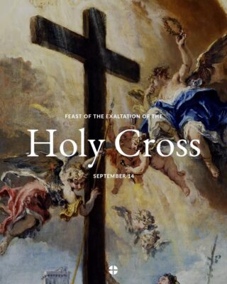 fb-117682098250535_1218488396990460