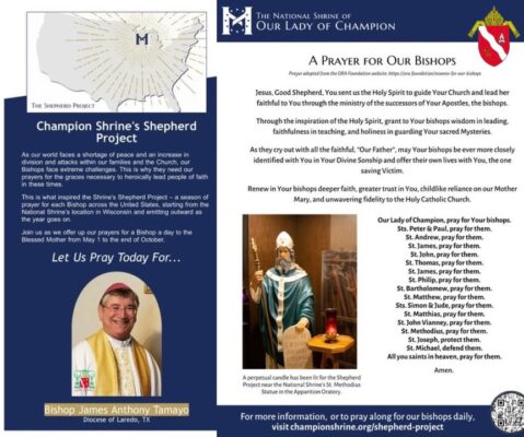 fb-117682098250535_1218488043657162