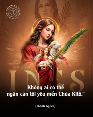 fb-732768673513037_1101716575418559