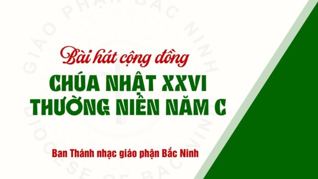 fb-732768673513037_1102049482051935