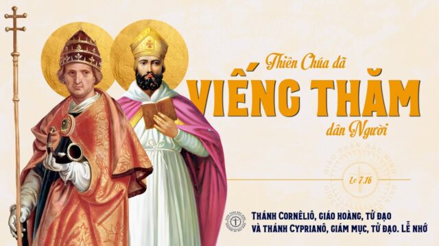 fb-732768673513037_1102455688677981