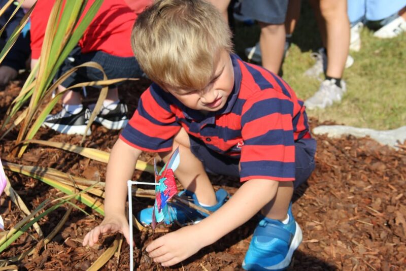 fb-95981452195_1209104611263370