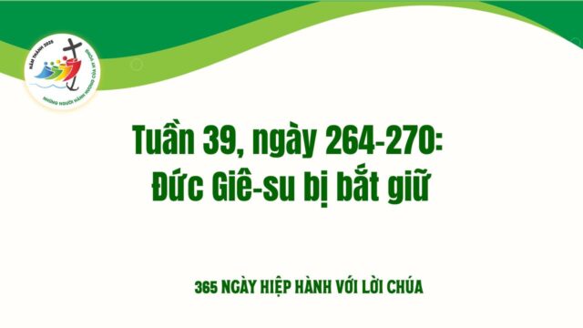 fb-732768673513037_1106500281606855