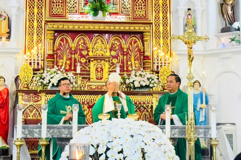 fb-1578851229095483_1197919985712574