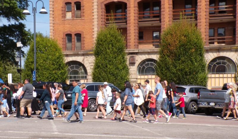 KODAK Digital Still Camera