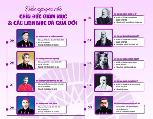 fb-732768673513037_1108997481357135