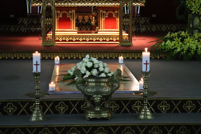 fb-732768673513037_1110203594569857