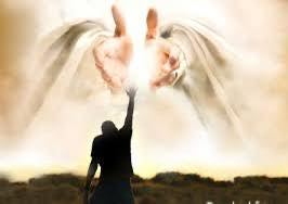 fb-285328895298373_802234155878835