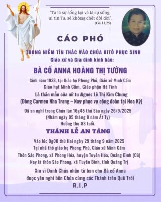 fb-267086443957481_1100184188990953