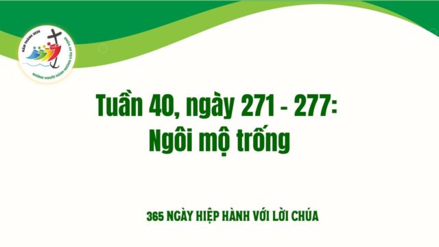 fb-732768673513037_1112247317698818