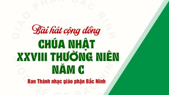 fb-732768673513037_1113201964270020