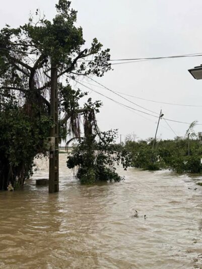 fb-267086443957481_1101882515487787