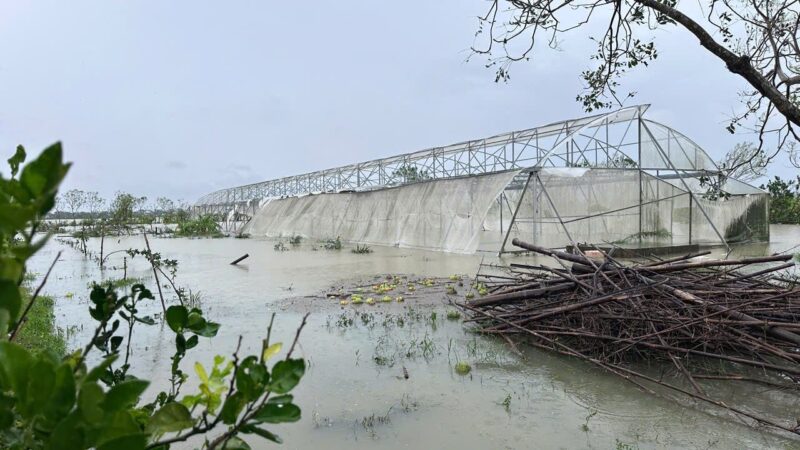 fb-267086443957481_1102452352097470